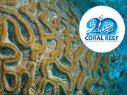 Coral Reef Conservation Program 20th logo with coral in the background.