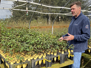 Veteran Chris Sutherland explains plant species used for restoration while in the nursery he works at.