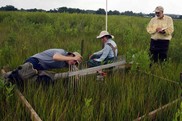 Scientists monitor an area of wetland with scientific equipment.