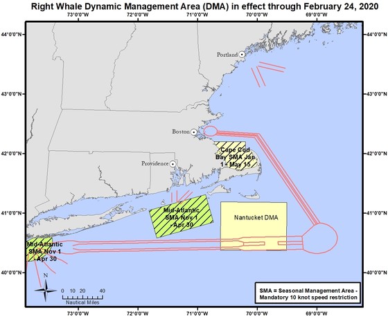 Map of South of Nantucket Dynamic Management Area effective through February 24