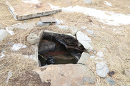 Gray seal pup trapped in a well. NOAA Fisheries