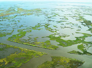 Aerial view of Louisiana marsh in the Gulf of Mexico.