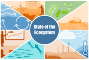 NE State of Ecosystem, NOAA Fisheries