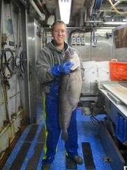 Glenn with a large white hake on a leg of the Northeast Fisheries Science Center's bottom trawl survey.