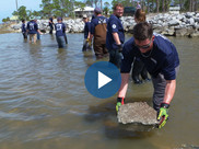 Gulfcorps crew members move rocks in shallow water to build an oyster reef.