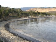 Refugio Beach after the 2015 oil spill, with oil in the water and lining the shore.