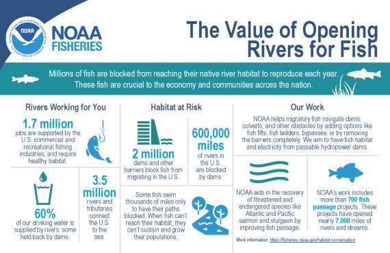 Infographic about fish passage