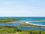 Cuttyhunk Island coastal habitat.