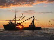 Fishing boat, NOAA Fisheries