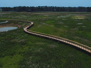 Aerial view of a boardwalk in a wetland