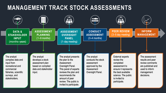 Management Track Stock Assessment, NOAA Fisheries, Northeast Fisheries Science Center