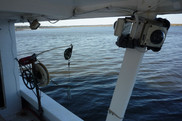 Electronic Monitoring, NOAA Fisheries
