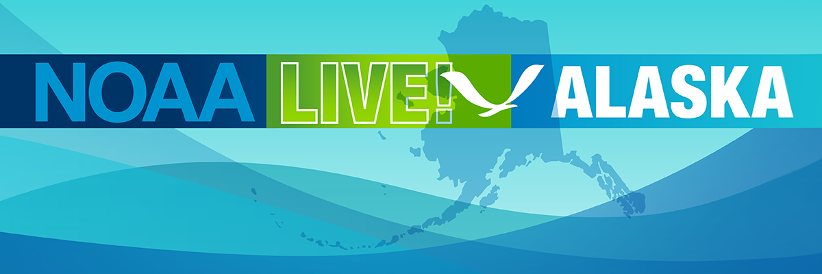 NOAA Live! Alaska header