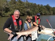 Researchers record measurements of a recaptured Atlantic sturgeon in the Pee Dee River.