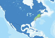 National Marine Ecosystem Web Portal 