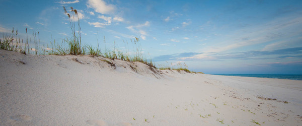 Dunes on a beach at Gulf State Park in Alabama. Image: Outdoor Alabama/Billy Pope