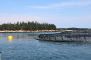 aquaculture