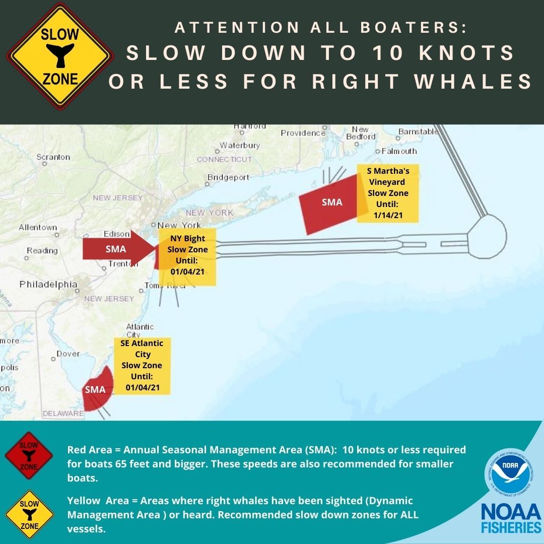 Right whale slow zones in effect through January 14, 2021