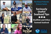 Seriously useful seafood tips from industry partners, NEFSC