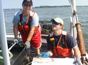 Summer interns at the NOAA Chesapeake Bay Office gain experience in a variety of fields. 