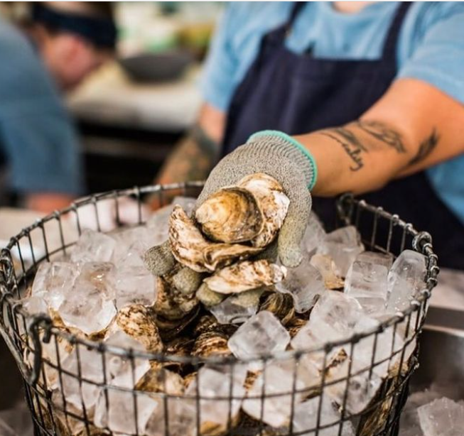 Fresh oysters on ice. Courtesy of Sea Grant 