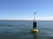 A yellow NOAA Chesapeake Bay Interpretive Buoy System station tracks water conditions at Gooses Reef, Maryland.