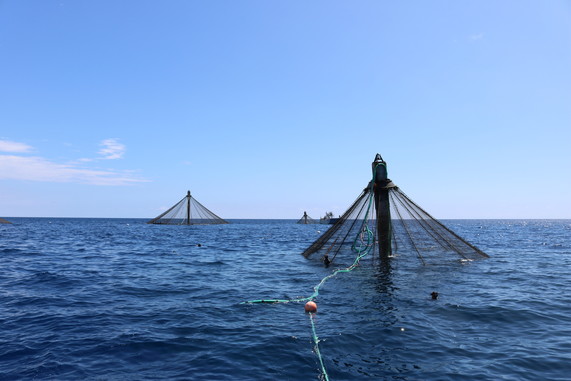 aquaculture net pens on the water