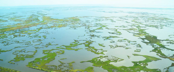 Aerial view of parts of Louisiana's Barataria Basin, where wetlands have disappeared for decades.