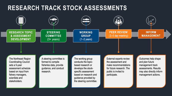 Research Track Fisheries Stock Assessments, NEFSC