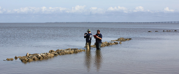 GulfCorps restoration partners monitor progress on previously built oyster reefs in Florida. Image NOAA/Stephen Heverly