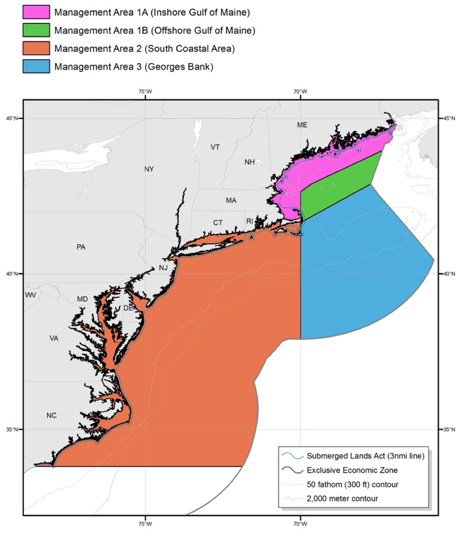 Atlantic herring management areas