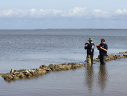 GulfCorps restoration partners monitor progress on previously built oyster reefs in Florida. Image NOAA/Stephen Heverly