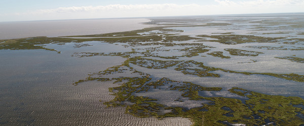 Aerial view of degrading marsh in coastal Louisiana