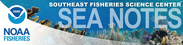 SEFSC Sea Notes Newsletter masthead