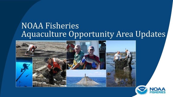 Title slide from 'NOAA Fisheries Aquaculture Opportunity Area Updates' slideshow.