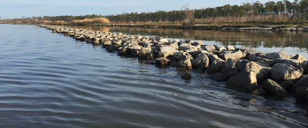 A line of rocks protecting marsh and upland habitat on the Gulf Coast in Alabama.