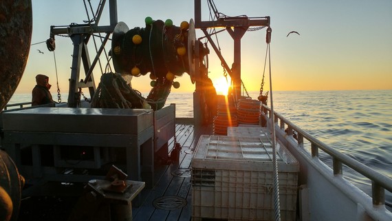 groundfish trawl sundown