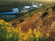 Elkhorn Slough wetland meandering seven miles inland from Monterey Bay, California.