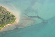 Aerial photo of a forested island in a river