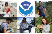 Collage of portraits of five students who are interning at the NOAA Chesapeake Bay Office (virtually) this summer.