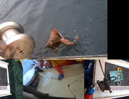Cooperative Research Branch Catch Through a New Lens, NOAA Fisheries