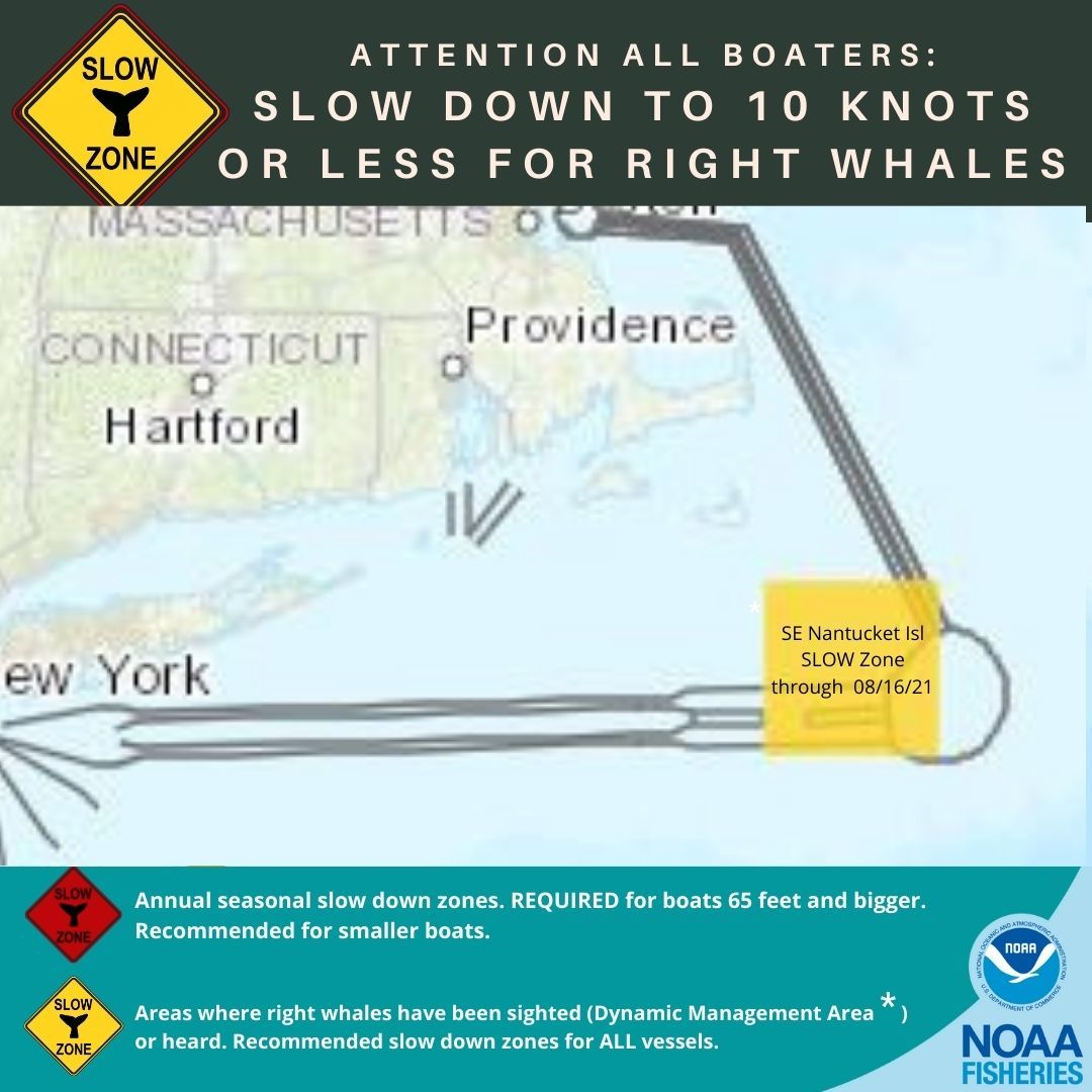 Right Whale Slow Zone Southeast of Nantucket