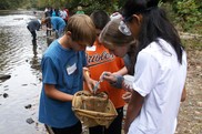 Four students lean in to see what a net caught in their local creek.