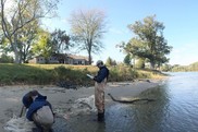 Three scientists examine the contents of a trawl on the shoreline of a creek.