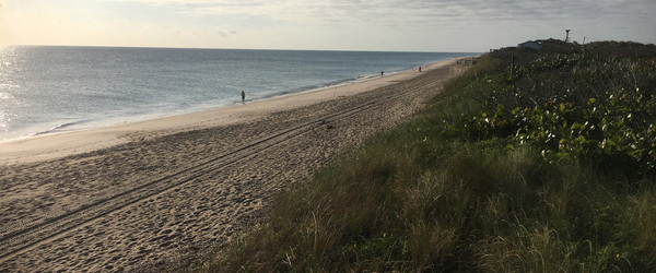 Aerial view of grassy sand dunes and a beach meeting the Gulf of Mexico.