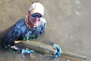 Dr. John Carlson holds a smalltooth sawfish after collecting valuable biological information. 