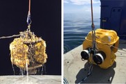 The listening devices used in this study often have marine life growing on them (left). 