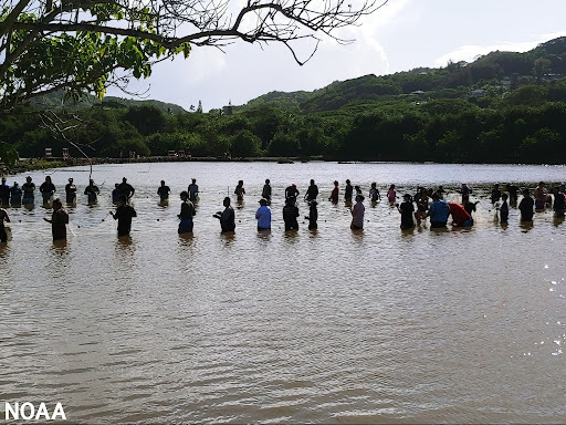 Visitors are gathered with community members at a Hawaiian loko iʻa (fishpond).