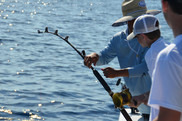 Three anglers on a boat with a fishing rod that's bending and looks to have a fish on. Credit: Return 'em Right