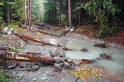 An image of the Lawrence Creek with added woody debris in California. Credit: Trout Unlimited